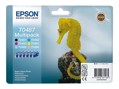Epson Multipack T0487 C13t04874020